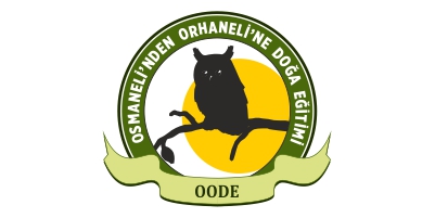 dogaproje.org