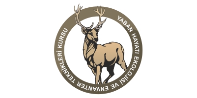 dogaproje.org